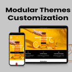 Modular Premium Theme Customization